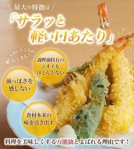 こめ油 話題のこめ油（国産） 紙パック 600g×10本【順次発送】【A247-frks140】