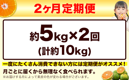 【2ヶ月定期便】訳あり みかん 小玉みかん くまもと小玉みかん 5kg (2.5kg×2箱)   秋 旬 不揃い 傷 ご家庭用 SDGs 《10月-11月出荷》小玉 たっぷり 熊本県 産 S-3Sサイズ フルーツ 旬 柑橘 長洲町 温州みかん