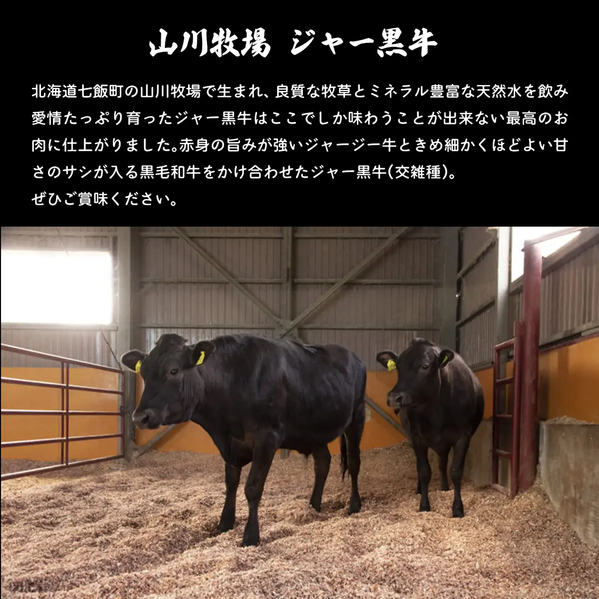 【セット】山川牧場ジャー黒牛10種盛 NAN015
