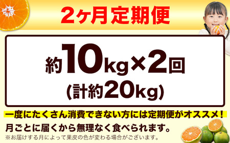 【2ヶ月定期便】訳あり みかん 小玉みかん くまもと小玉みかん 10kg (10kg×1箱)   秋 旬 不揃い 傷 ご家庭用 SDGs 小玉 たっぷり 熊本県 産 S-3Sサイズ フルーツ 旬 柑橘 長洲町 温州みかん《10月-11月出荷》 