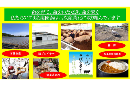 豚肉 切り落とし 宮崎県産 豚 切り落し 500g × 6 計3kg [アグリ産業匠泰 宮崎県 美郷町 31be0060]