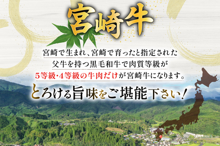 牛肉 定期便 宮崎牛スライスセット 6ヶ月定期便 [ミヤチク 宮崎県 美郷町 31au0107]