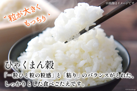 【期間限定発送】 米 令和7年 ひゃくまん穀 精米 5kg [みどりの波 石川県 宝達志水町 38601255]