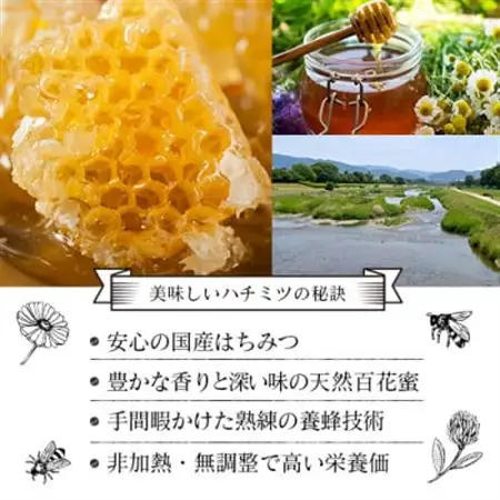 国産 おおたはちみつ 300g×2個セット_調味料 はちみつ  ハチミツ 蜂蜜_【1301544】