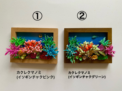 クマノミ各種　フレーム  /  魚 さかな フィッシュ 釣り 海 うみ クマノミ 海水魚 海の生き物 鍵 かぎ 家 車 自転車 かわいい お土産 雑貨 思い出 プレゼント ギフト すさみ 【mac007A】