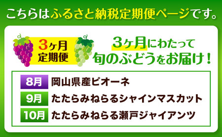 【3回定期便】3種ぶどう食べ比べ  計3房 　ﾏｽｶｯﾄ ﾋﾟｵｰﾈ ぶどう