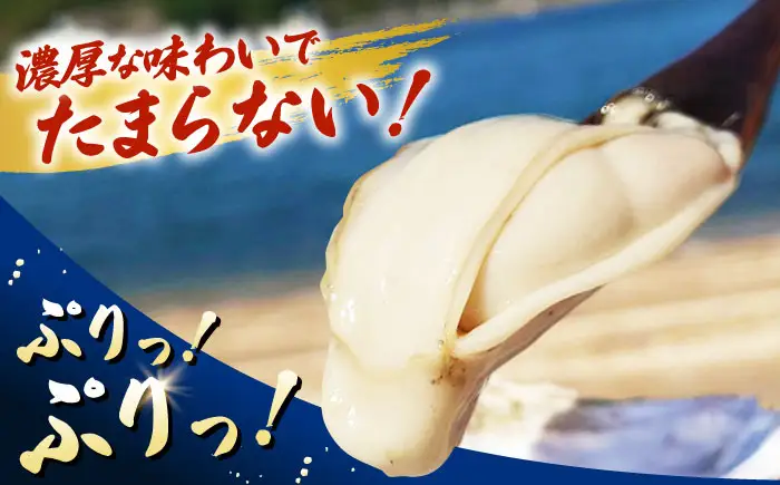 冷凍牡蠣 むき身900g 牡蠣[XAO025]