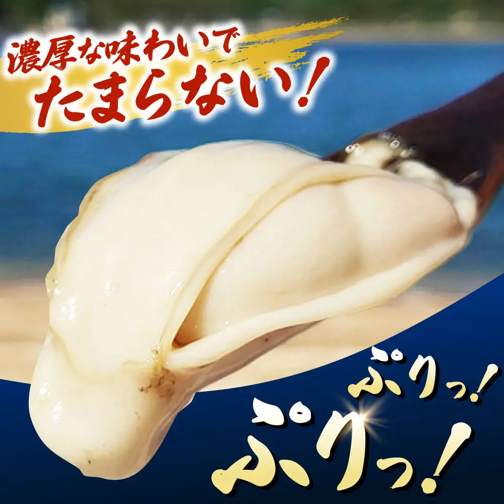 冷凍牡蠣 むき身1.8kg 牡蠣[XAO026]