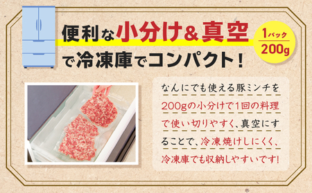 鹿児島県産 豚ミンチ 200g×3パック 計600g K151-002 肉 豚肉 冷凍