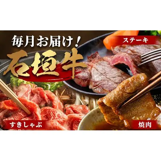 【全2回 定期便D】 石垣牛 すきしゃぶ＆焼肉セット・ステーキ＆焼肉セット　計2kg（いしなぎ屋）　AB-32