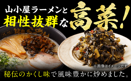 高菜生ラーメン5食＋替玉セット / 豚骨ラーメン スピード配送[AFAE008]