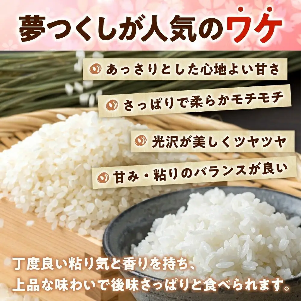 福岡県産「夢つくし」無菌パックご飯（24パック） ZX01