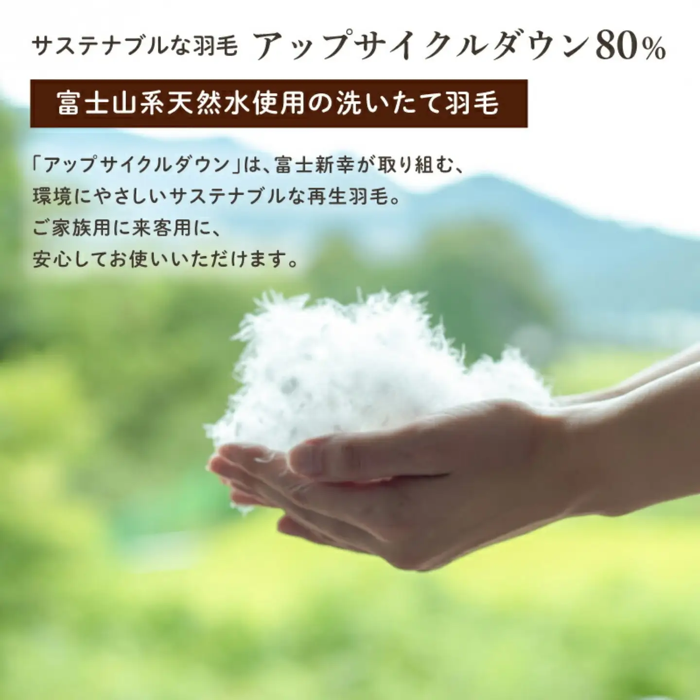 【富士新幸謹製】「サステナブルな羽毛布団」シングル 本掛けふとん［ラーチ］ アップサイクルダウン　本掛け 掛け布団 ふとん 布団 シングル 来客用  羽毛ふとん 羽毛 本掛けふとん　アップサイクルダウン　サステナブル