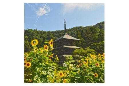 応援寄附 返礼品なし 1,000円 [山形県高畠町役場 山形県 高畠町 tk06ayt210000]