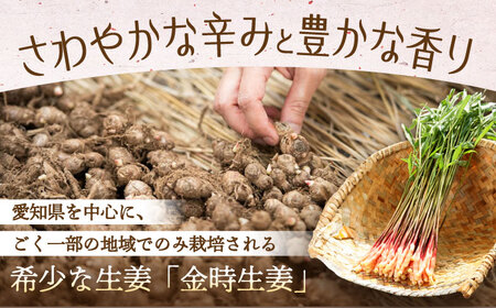 金時生姜 酢漬け 10種セット / 生姜 酢漬け 漬物 ピクルス おつまみ ギフト / 稲沢市 / 有限会社木村農園 [BMBN002]