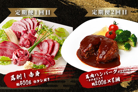 【定期便6回】馬肉づくし 「 馬刺し・お惣菜 定期便 」6回配送 本場 熊本県 馬さし 定期便 千興ファーム SQF 認証 安心安全 馬肉 ユッケ ハンバーグ カレー 新鮮 冷凍 ミシュラン 生食用 肉 菅乃屋 熊本 031-0507