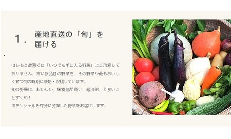 伊勢ノ国のがぶっと野菜玉手箱　：　隔週1回定期便（大人4人1週間分）26回【26-2】