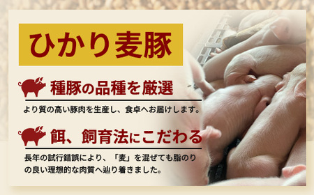 鹿児島県産 ひかり麦豚 焼肉 食べ比べ セット 600g（300g×2パック）＋ 楽塩の粗びき塩こしょう HM-703 | 肉 お肉 にく 豚肉 ロース 肩ロース バラ肉 スライス 粗挽き 塩コショウ 冷凍 真空冷凍 産地直送 新鮮 小分け 甘み 鹿児島県 南大隅町 ひかり麦豚直売所