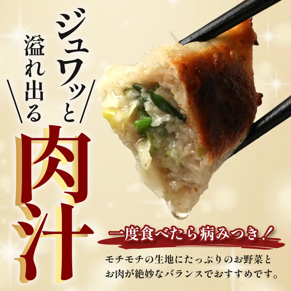 鹿児島県産 ひかり麦豚 ＼＼ちょっと大きな  餃子 42個セット／／ HM-707 | ぎょうざ ギョウザ 食べ応え抜群 焼き餃子 水餃子 おかず お弁当 冷凍 産地直送 鹿児島県 南大隅町 ひかり麦豚直売所