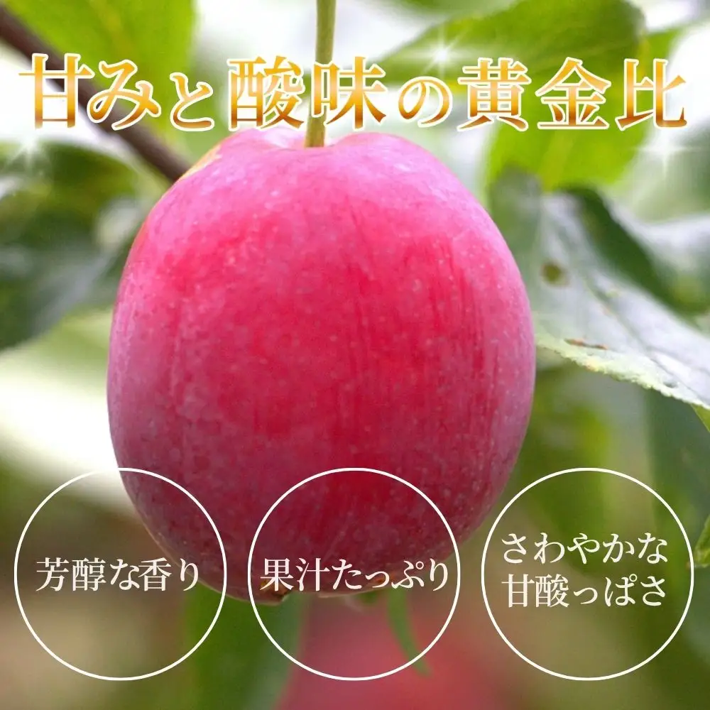 すもも フランコ 4kg 【mtm011】