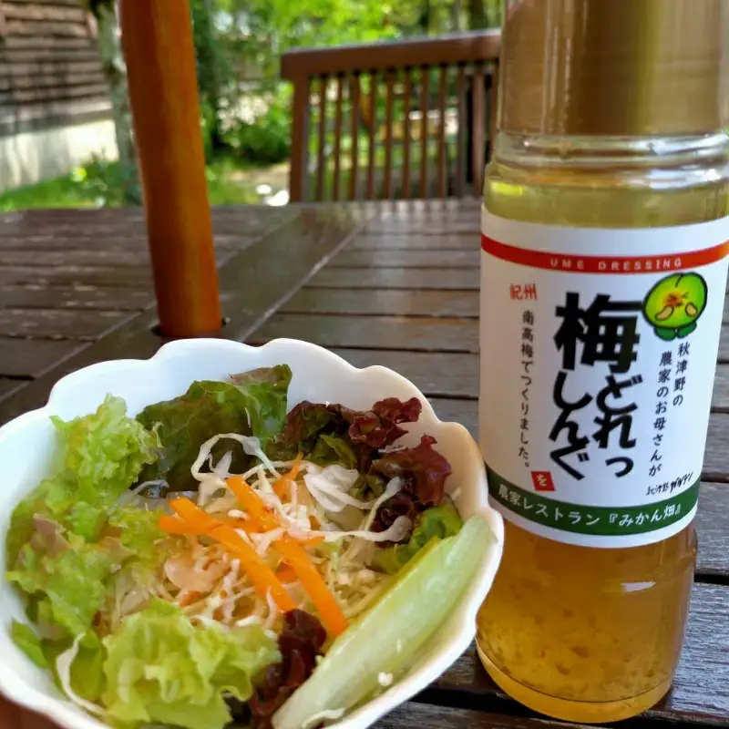 農家のお母さん手づくり梅ドレッシング  200ml×3本  /  野菜 サラダ 調味料 ギフト お取り寄せ 和歌山県 田辺市 【grt008-1】