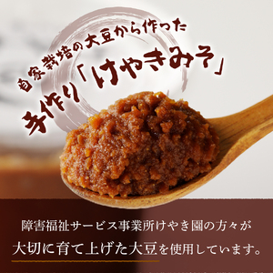 手作り　無添加　けやきみそ　1kg(500g×2個)　みそ 大豆 無添加 米麹 食塩 手作り 味噌 無添加 大豆 食塩