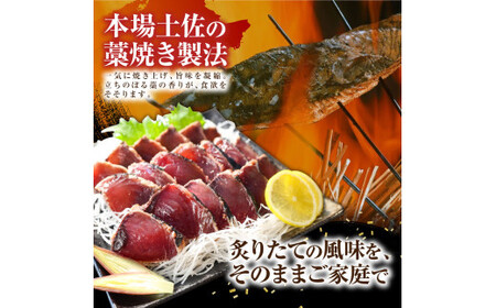 かつおのたたき 訳あり 鰹タタキ 600g カツオのタタキ カツオのたたき 藁焼き 鰹 訳アリ わけあり 訳 刺身 魚 海鮮 魚介 土佐 本場 不揃い 規格外 春 旬 食べ物【株式会社大熊】 [BQAA009]