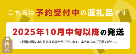 【先行受付】元気つくし（精米）9kg【令和7年度産米】_先行受付 米 元気つくし 精米 9kg 令和7年度産 受注後 鮮度抜群 新鮮 福岡生まれ 風味豊か 旨み 粒立ちしっかり 冷めても美味しい 白米 ご飯 お米 弁当 おにぎり 白ご飯 福岡県産 お取り寄せ 福岡県 久留米市 送料無料 〔Gr049〕