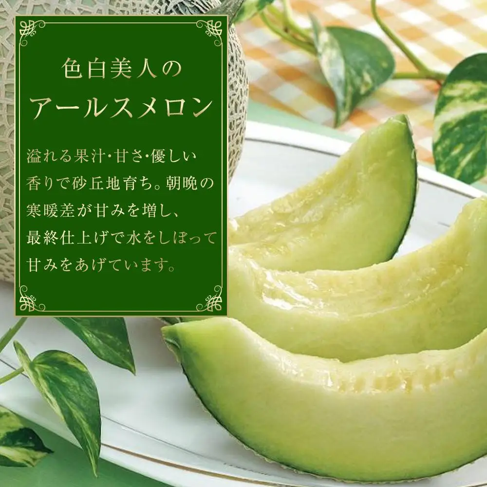 【2026年 先行予約】石川 アールスメロン 1.3kg×1個