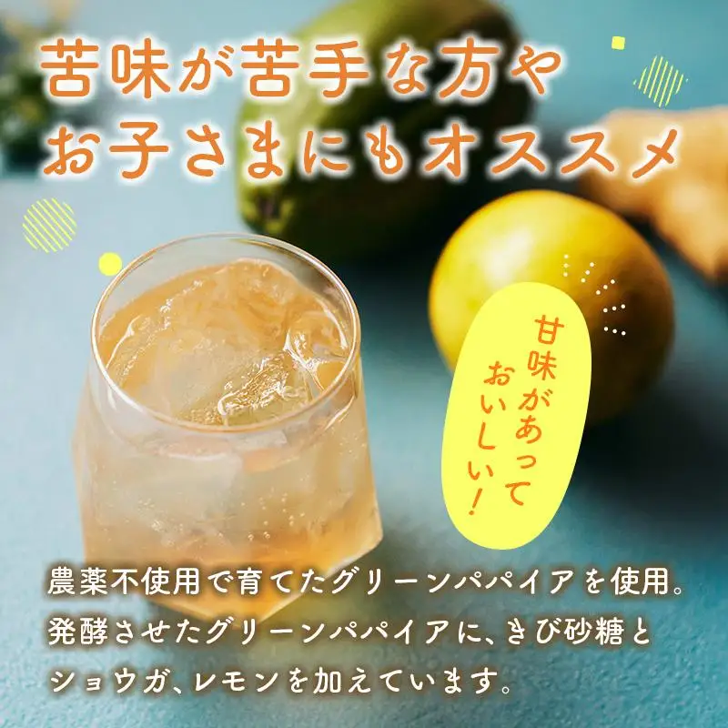 クラフト酵素シロップ グリーンパパイア 250ml×2個 宮崎県産