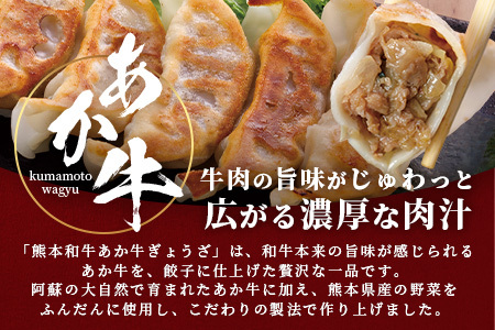 【餃子】熊本和牛 あか牛 ぎょうざセット ≪熊本あか牛餃子20個入り×3箱 計60個≫ 046-0640