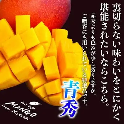 宮崎県産完熟マンゴー[青秀] 合計約1kg（2～3玉）