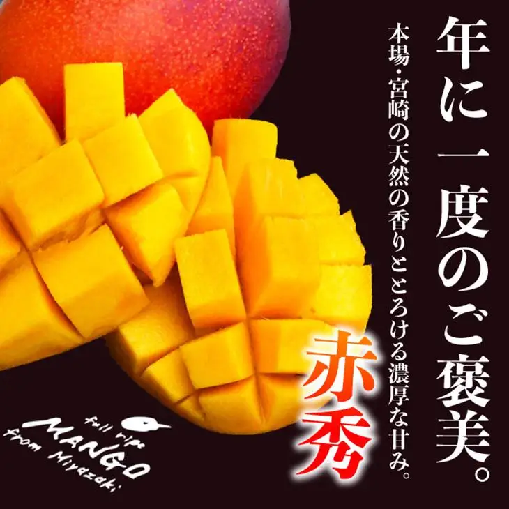 宮崎県産完熟マンゴー[赤秀] 合計約2kg（4～6玉）