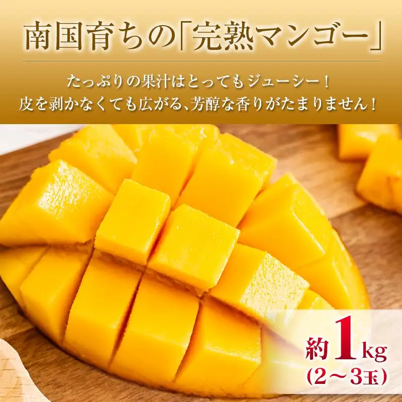 ◆宮崎県産 マンゴー＆ライチセット（合計約1.4kg）