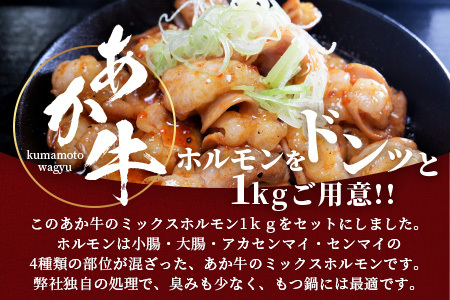 熊本和牛 あか牛 ミックスホルモン1kg（500g×2パック） もつ鍋 焼肉 BBQ 046-0644