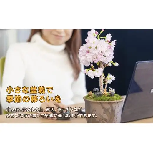 「デスクトップ盆栽」という新提案を四日市から（ミニチュアあり）