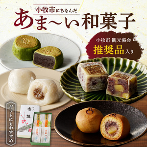 小牧銘菓セット[009B04]