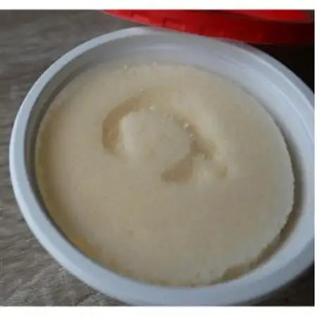 慎太郎アイスクリンカップ10個【配送不可地域：離島】【1508080】