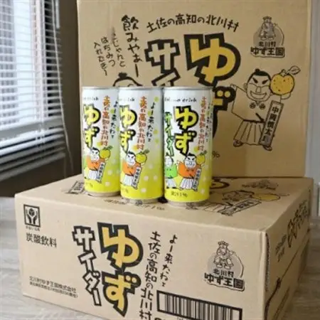 ゆずサイダー30本/1ケース【北川村ゆず王国】【1508082】