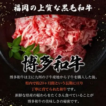 【毎月定期便】訳あり!博多和牛切り落とし　1.2kg(600g×2p)全3回_肉 黒毛和牛 牛肉   定期便 定期便  _【配送不可地域：離島】【4054462】