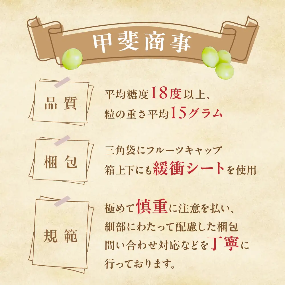 【2026年発送】 ご家庭用 シャインマスカット 約1.5㎏  訳ありシャインマスカット AN-130