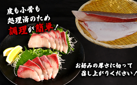【碧鰤】ブリ1kg以上南予ビージョイブリ│D021-150009