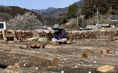 昔なつかしい 原木生しいたけ 椎茸 シイタケ 濃厚 香り 旨みたっぷり だし うまみ ワンランク上 F21K-012
