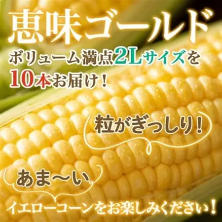 【2026年 先行受付】十勝 恵味ゴールド 10本 2Lサイズ 甘いスイートコーン 北海道 帯広市_野菜 とうもろこし  トウモロコシ_【配送不可地域：離島】【1499657】