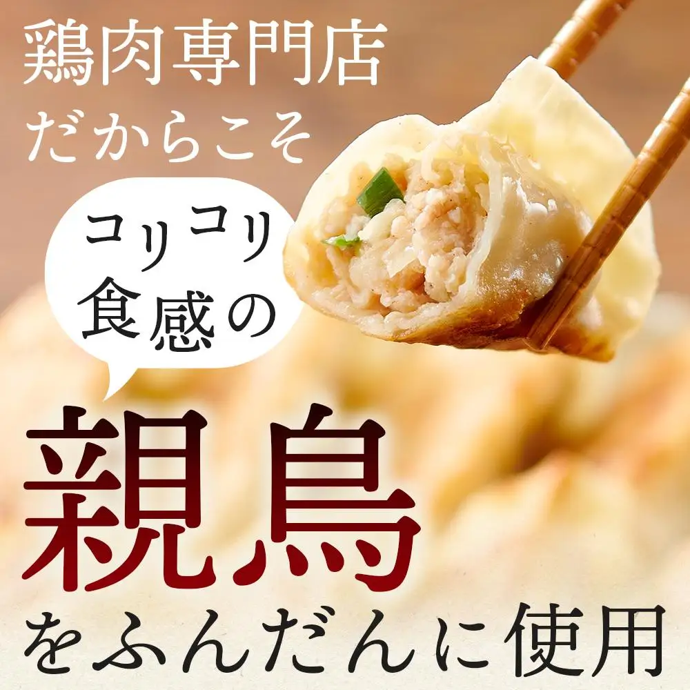 親どり専門店が作る親鳥餃子（50個）