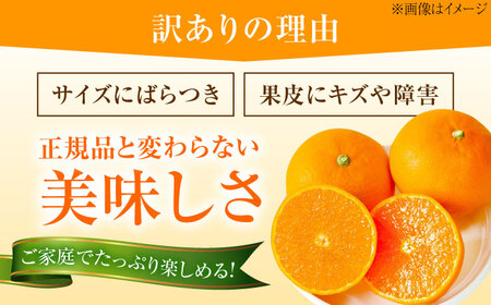 みかん 訳あり 愛果28号 約5kg フルーツ 果物 みかん 訳あり BJBG002