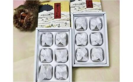 中津川銘菓：栗きんとん12個（6個入×2箱）[秋季限定]【2027年1月お届け】 F4N-2307
