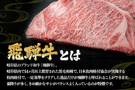 飛騨牛 A5～4等級 サーロインステーキ3枚 約540g (約180g×3枚) │ 国産 牛肉 和牛 ブランド ステーキ (A01-008)