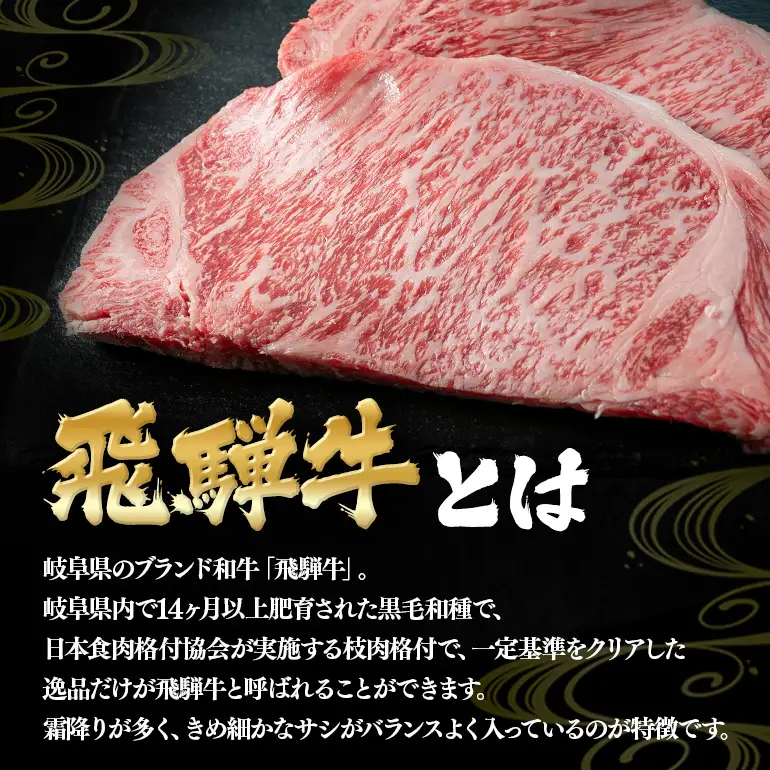 飛騨牛 A5～4等級 贅沢セット (A01-021)
