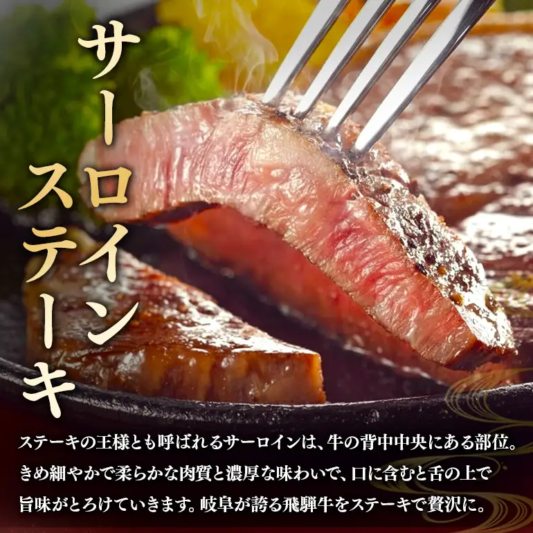 飛騨牛 A5～4等級 スペシャルセットB (A01-024)